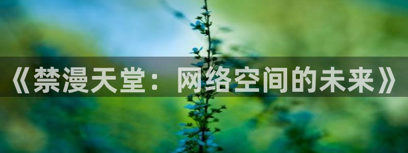 omofun在线：《禁漫天堂：网络空间的未来》