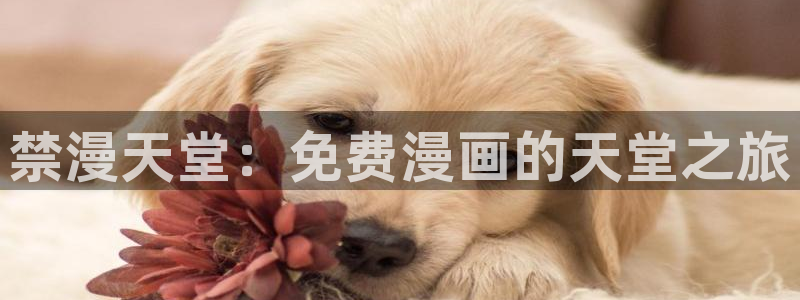 omofun\'：禁漫天堂：免费漫画的天堂之旅