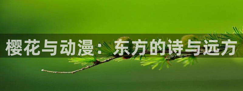 omofun.on：樱花与动漫：东方的诗与远方