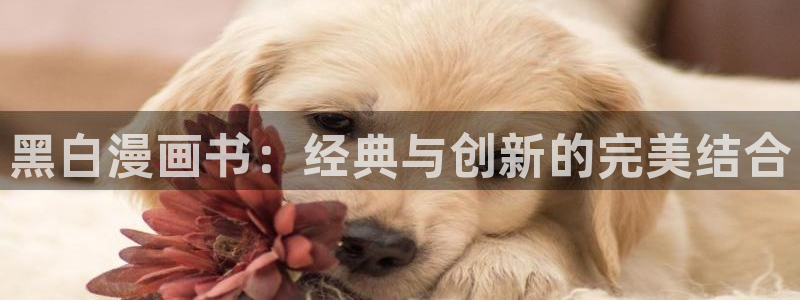 omofun. link：黑白漫画书：经典与创新的完美结合