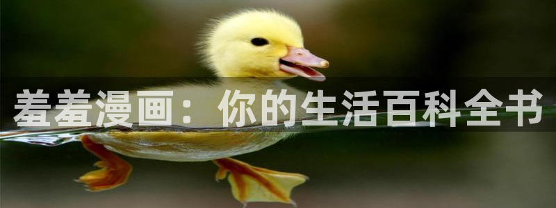 歪歪漫画下载入口最新：羞羞漫画：你的生活百科全书