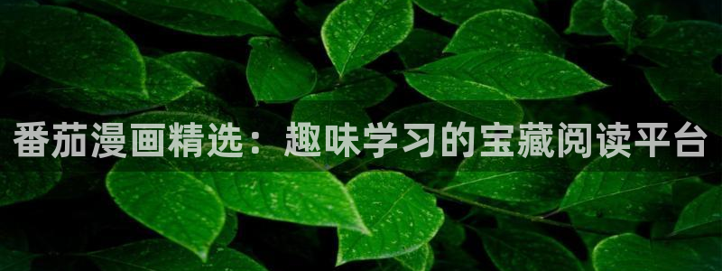 omofun动漫在线观看动漫最新版本更新：番茄漫画精选：趣味学习的宝藏阅读平台