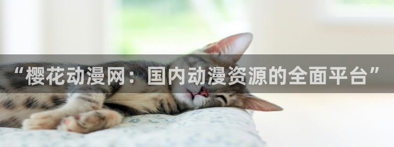 omofun.worko：“樱花动漫网：国内动漫资源的全面平台”