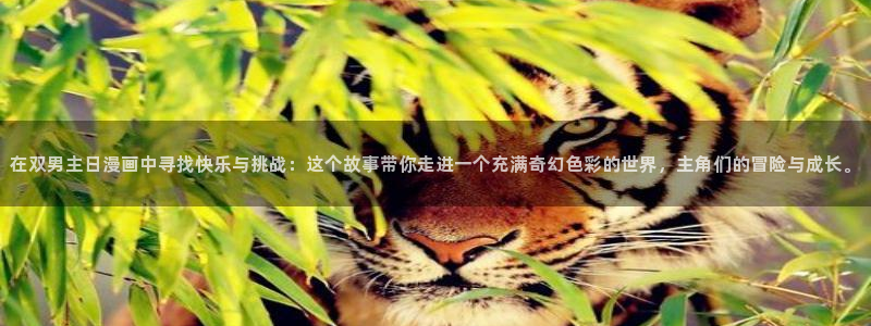 歪歪漫画正版入口：在双男主日漫画中寻找快乐与挑战：这个故事带你走进一个充满奇幻色彩的世界，主角们的冒险与成长。