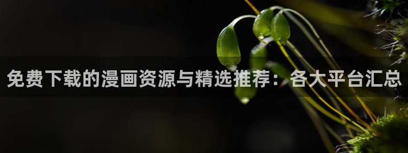 omofun正版官方链接：免费下载的漫画资源与精选推荐：各大平台汇总