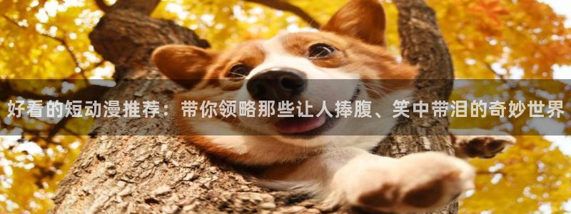 omofun官方网站：好看的短动漫推荐：带你领略那些让人捧腹、笑中带泪的奇妙世界