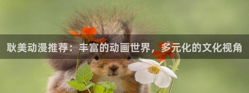 omofun老版本：耿美动漫推荐：丰富的动画世界，多元化的文化视角