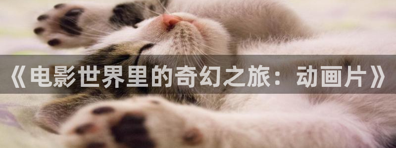 omofun官方网站：《电影世界里的奇幻之旅：动画片》